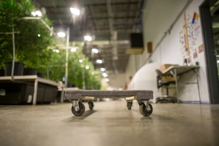 Cannabis Grow Facilities